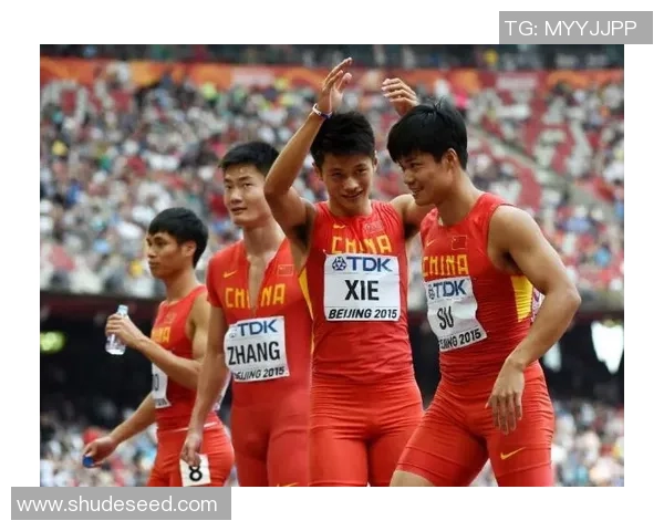 北京足球队在世锦赛上的团队协作表现分析与启示