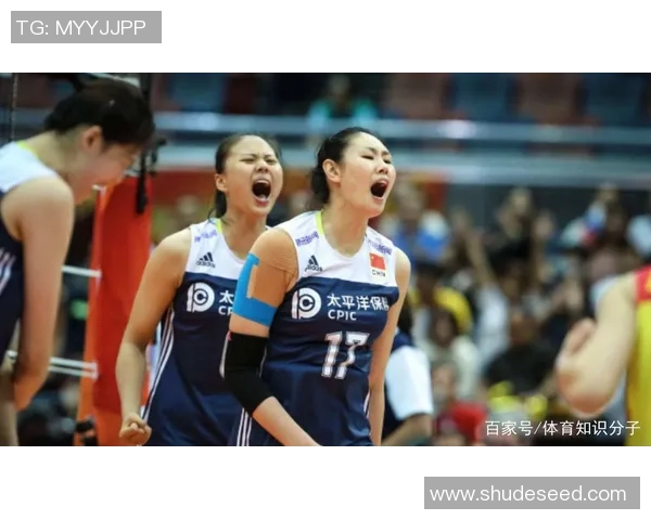 大满贯点评：成都排球队的实力表现