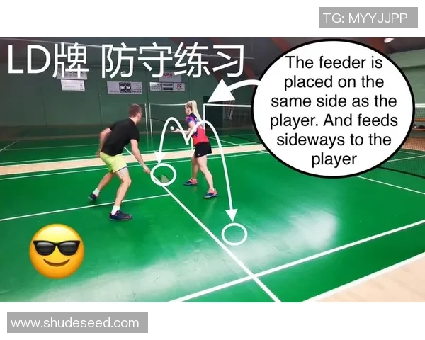 南京羽毛球队区域防守体系解析与战术应用探讨