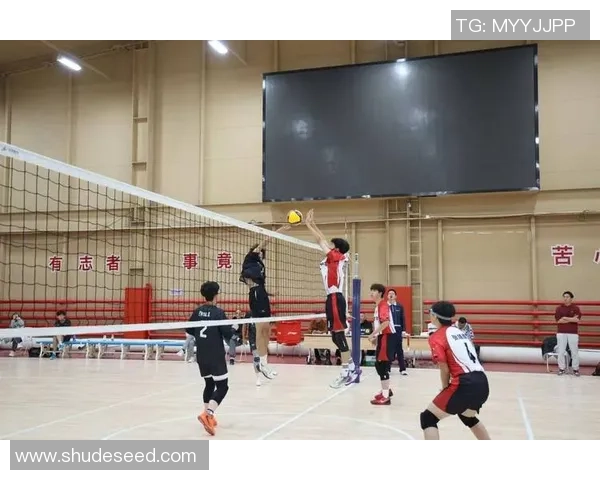 广州排球队实力飙升创造排球力量新高峰