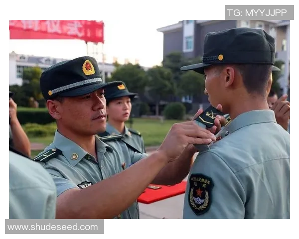 武汉排球队逆袭联合会杯的传奇之路与背后故事揭秘